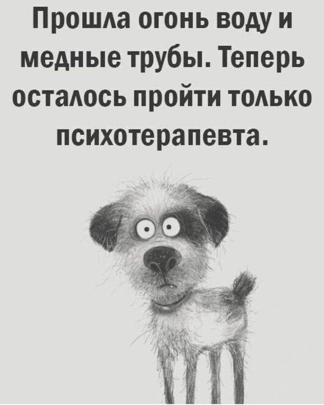 Прошла огонь воду и медные трубы Теперь осталось пройти тодько психотерапевта