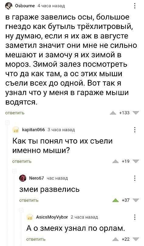 ОзЬоите 4 часа иазвл В гараже завелись ОСЫ большое гнездо как бутыль трёхлитровый ну думаю если я их аж в августе заметил значит ОНИ мне не СИЛЬНО мешают и замочу я их зимой в мороз Зимой залез посмотреть ЧТО да как там 3 0С ЭТИХ МЫШИ съели всех до одной Вот так я УЗНЗП ЧТО у МЕНЯ В гараже МЫШИ ВОДЯТСЯ леемть паз Карііаппав 3 ш д Как ТЫ ПОНЯЛ ЧТО ИХ съели именно мыши ствегигь 19 Меты час назад зме