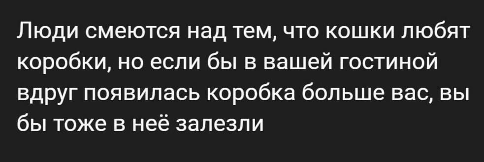 Люди смеются над тем что кошки любят коробки но если бы в вашей гостиной вдруг появилась коробка больше вас вы бы тоже в неё залезли