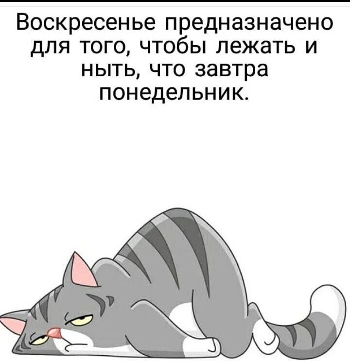 Воскресенье предназначено дЛЯ ТОГО ЧТОбЫ лежать И НЫТЬ ЧТО ЗЗВТРЗ ПОНбДеЛЬНИК