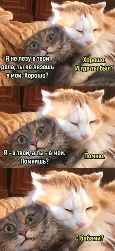 Я не лезу вхтзри дела ты не лезешь вхиои Хорошо Я втводЁы вмои Помнишь