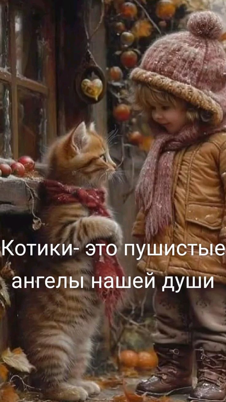 Котики 131 _ пушисчіые ангеЛЬРнашеи дУШИ