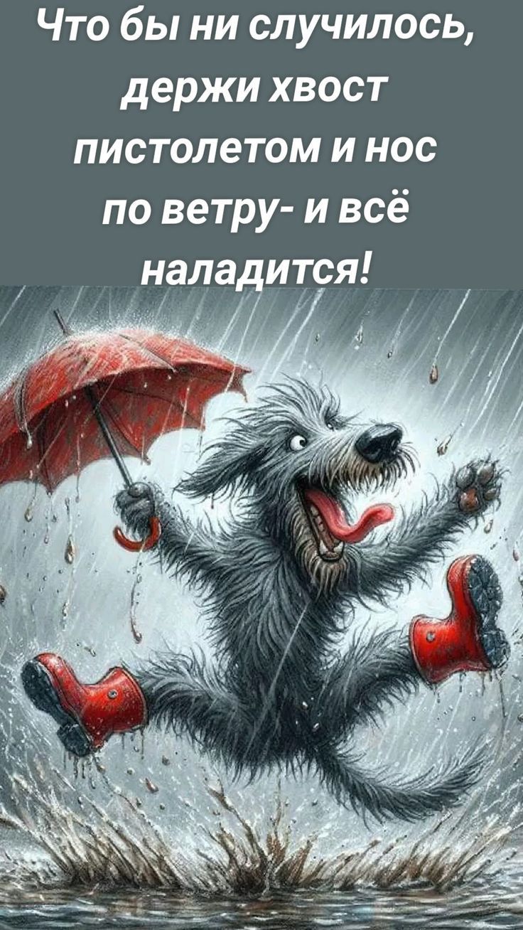 Что бы ни случилось держи хвост пистолетом и нос по ветру и всё нала ится