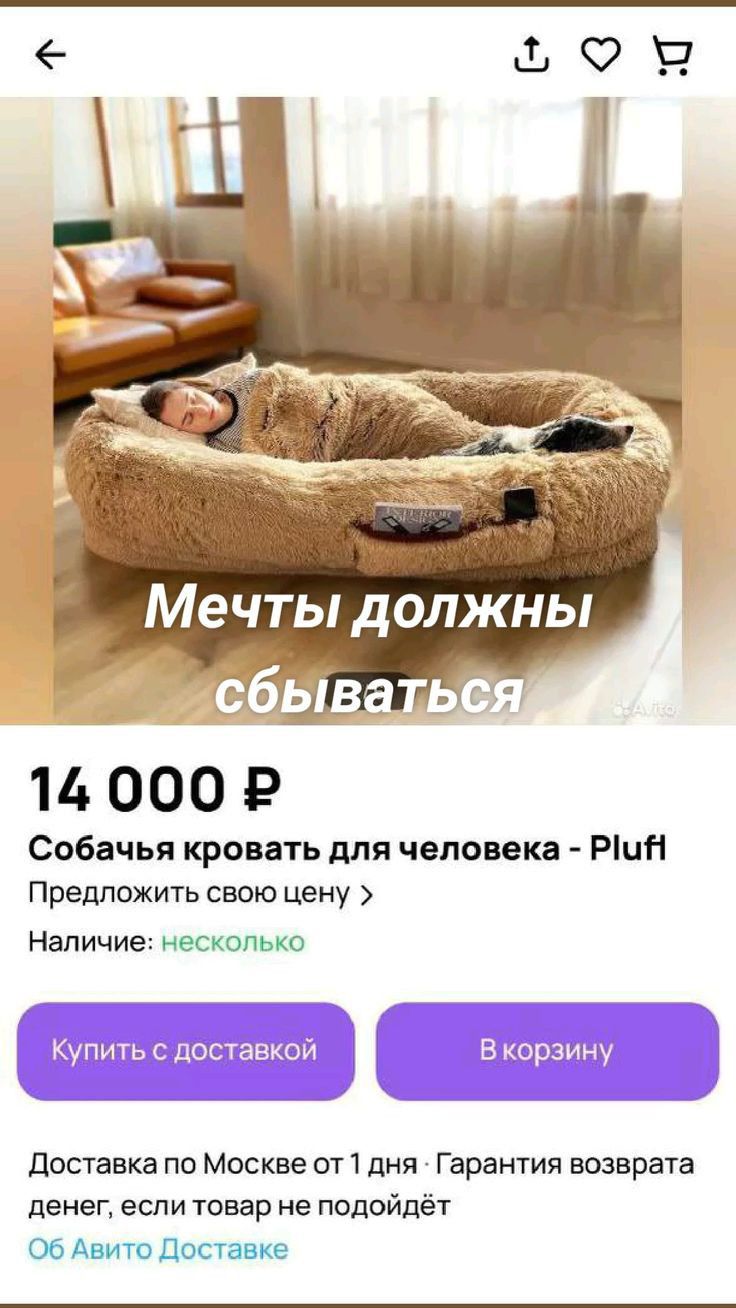 Мечты д лжны _ бь _ 1 4 0 0 0 Собачья кровать для человека Ріин Предложить свою Цену Наличие нескодыко Купить с доставкой В корзину доставка по Москве от1 дня Гарантия возврата пвнеп если товар не подойдёт Ъ Амте доставке