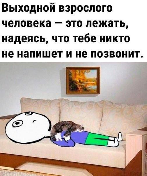 Выходной взрослого человека это лежать надеясь что тебе никто не напишет и не позвонит