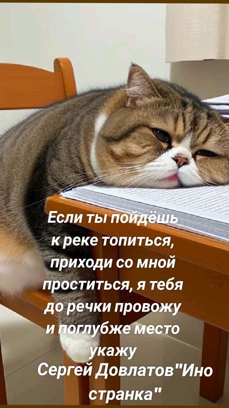 Если ы по к реке топиться _приходи со мной проститься я тебя доречки провожу и бжетюсгр КЗЖУ Сергей довлатов Ино странка