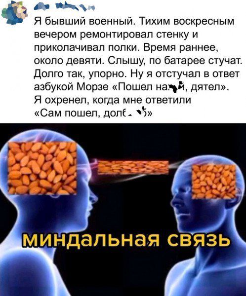 дп Я бывший военный Тихим воскресным вечером ремонтировап стенку и прикопачивап попки Бремя раннее икопо девяти Спышу по батарее стучат Долго так упорно Ну я отстучап в ответ азбукой Морзе Пошел на й дятеп Я пхренеп КОГДЭ мне ответили Сам пошел долі МИНДдПЬНдЯ СВЯЗЬ