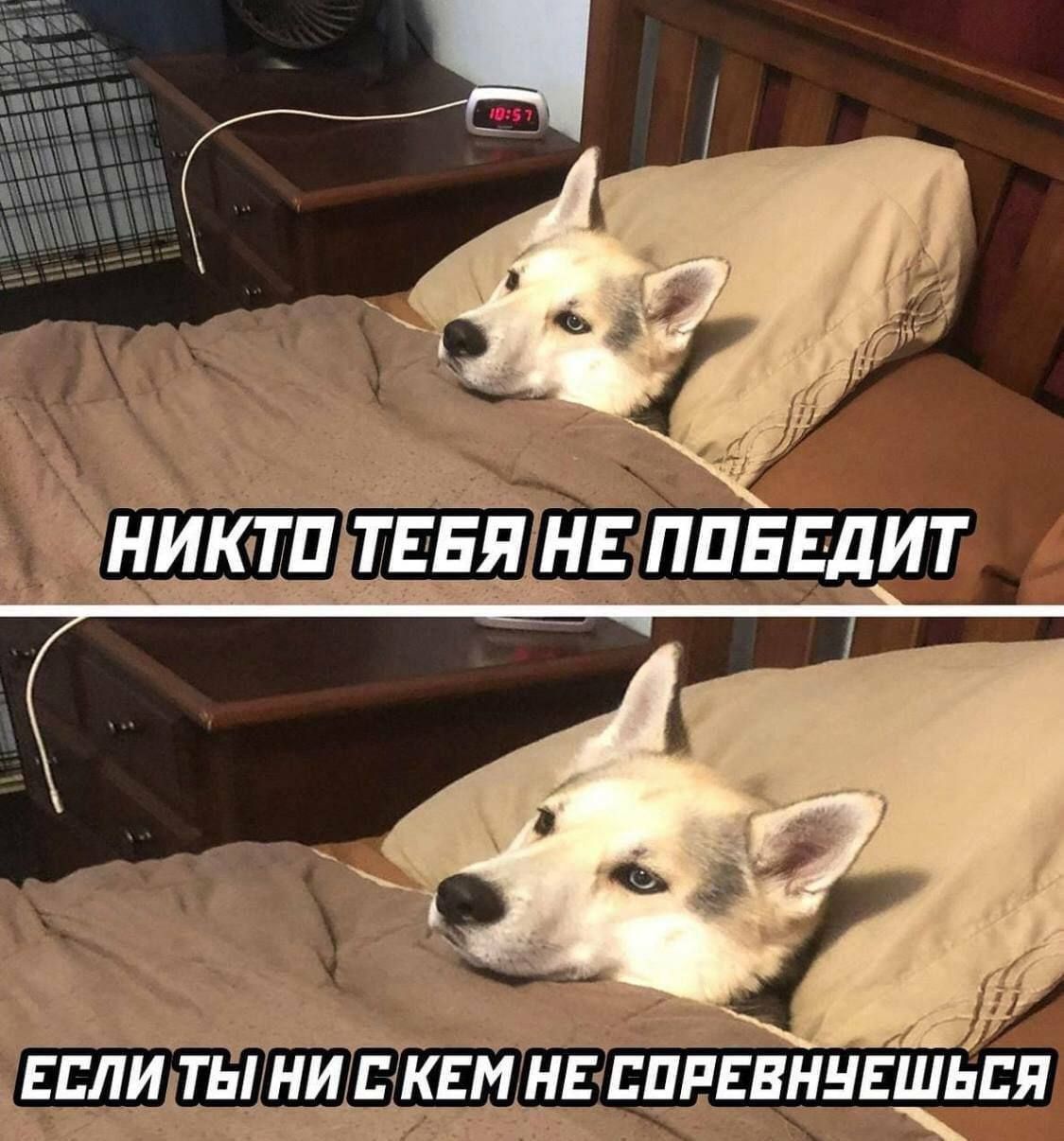 _ Р ЕСЛИ ты НИ КЕМ НЕППРЕВННЕШБЁЯ