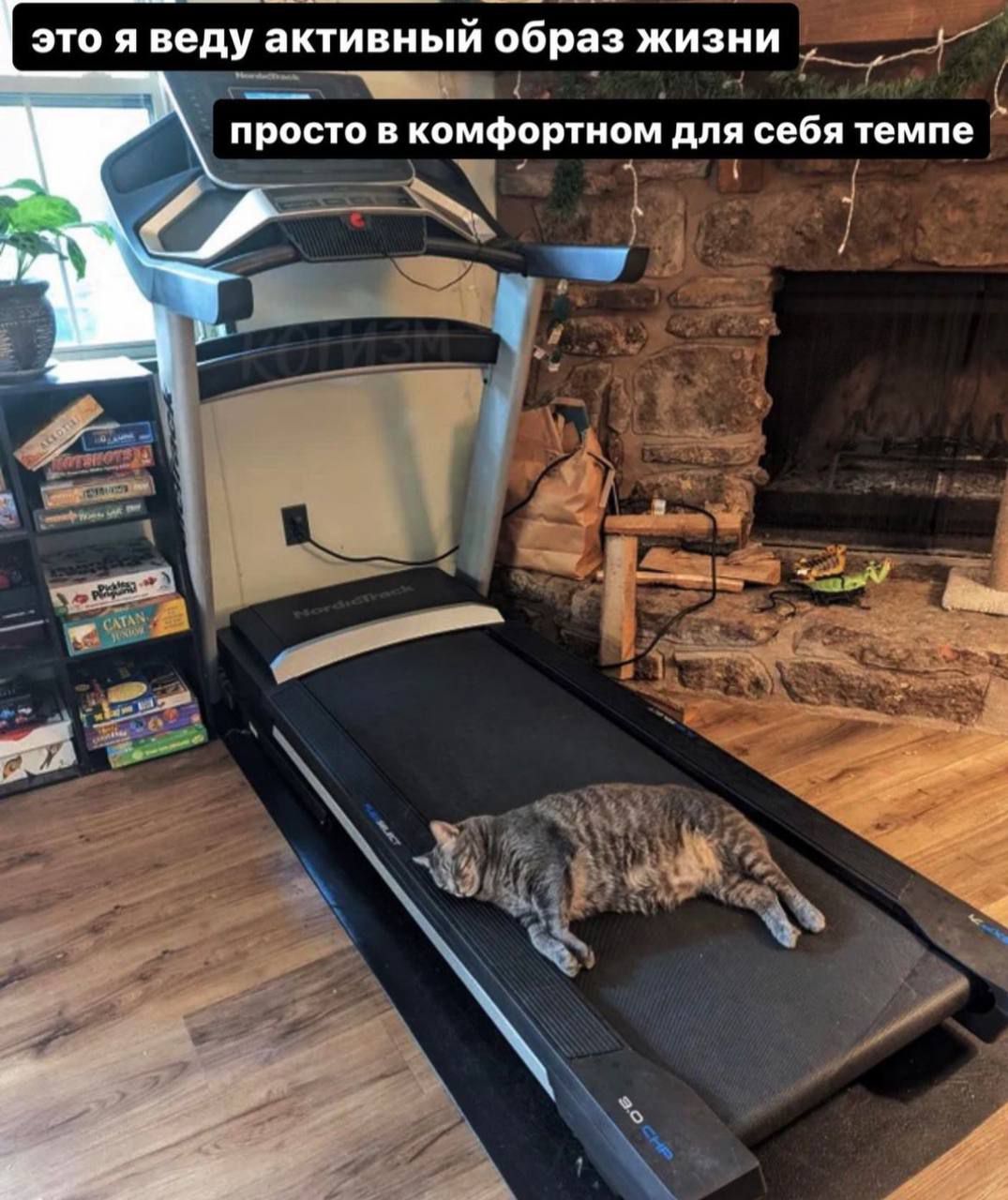 это я веду активный образ жизни И 1 прост в комфортном для себя темпе чр
