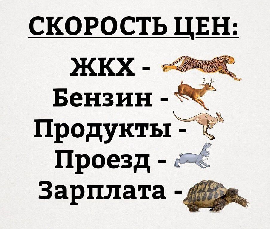 СКОРОСТЬ ЦЩ ЖКХ Щ Бензин Продуктыі Ё Проезд ц Зарплата