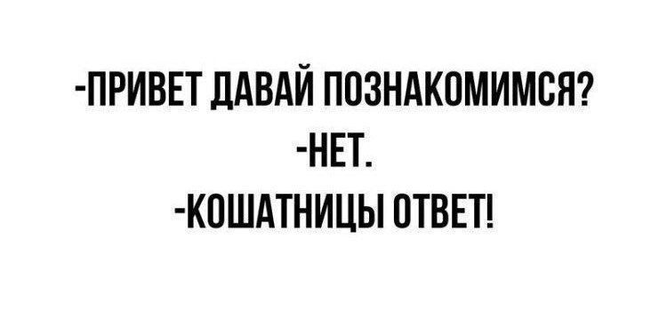 ПРИБЕТ ЛАВАЙ ППЗНАКОМИМСН НЕТ К0ШАТНИЦЫ ПТВЕТ