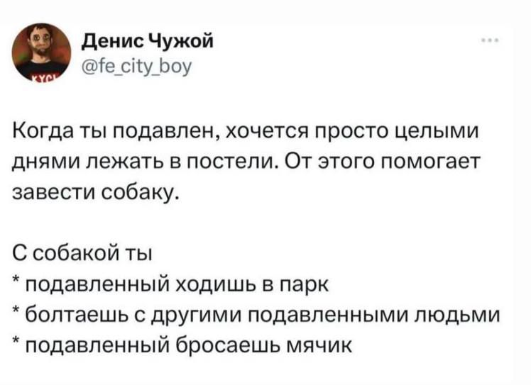 денис Чужой Те_сіу_Ь0у Когда ты подавлен хочется просто целыми днями лежать в постели От этого помогает завести собаку С собакой ты подавленный ходишь в парк болтаешь с другими подавленными людьми подавленный бросаешь мячик