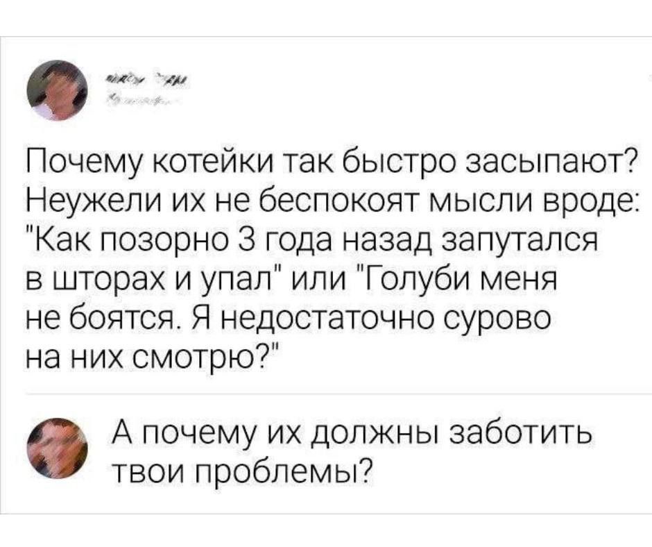 _ Почему котейки так быстро засыпают Неужели их не беспокоят мысли вроде Как позорно 3 года назад запутался в шторах и упал или Голуби меня не боятся Я недостаточно сурово на них смотрю А почему их должны заботить твои проблемы