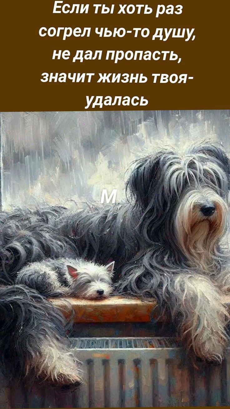 Если ты хоть раз согрел чью то душу не дал пропасть зна чит жизнь твоя ударасц _