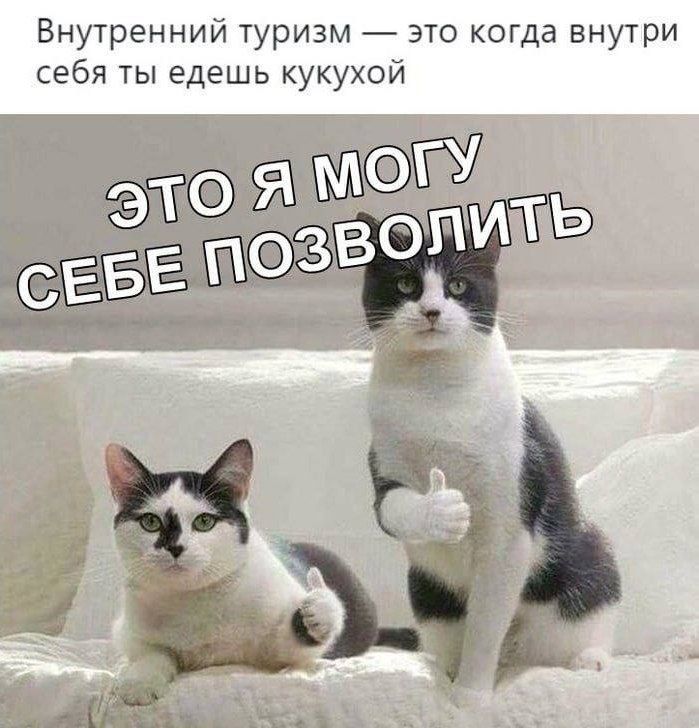 Внутренний туризм _ это когда внутри себя ты едешь кукухой