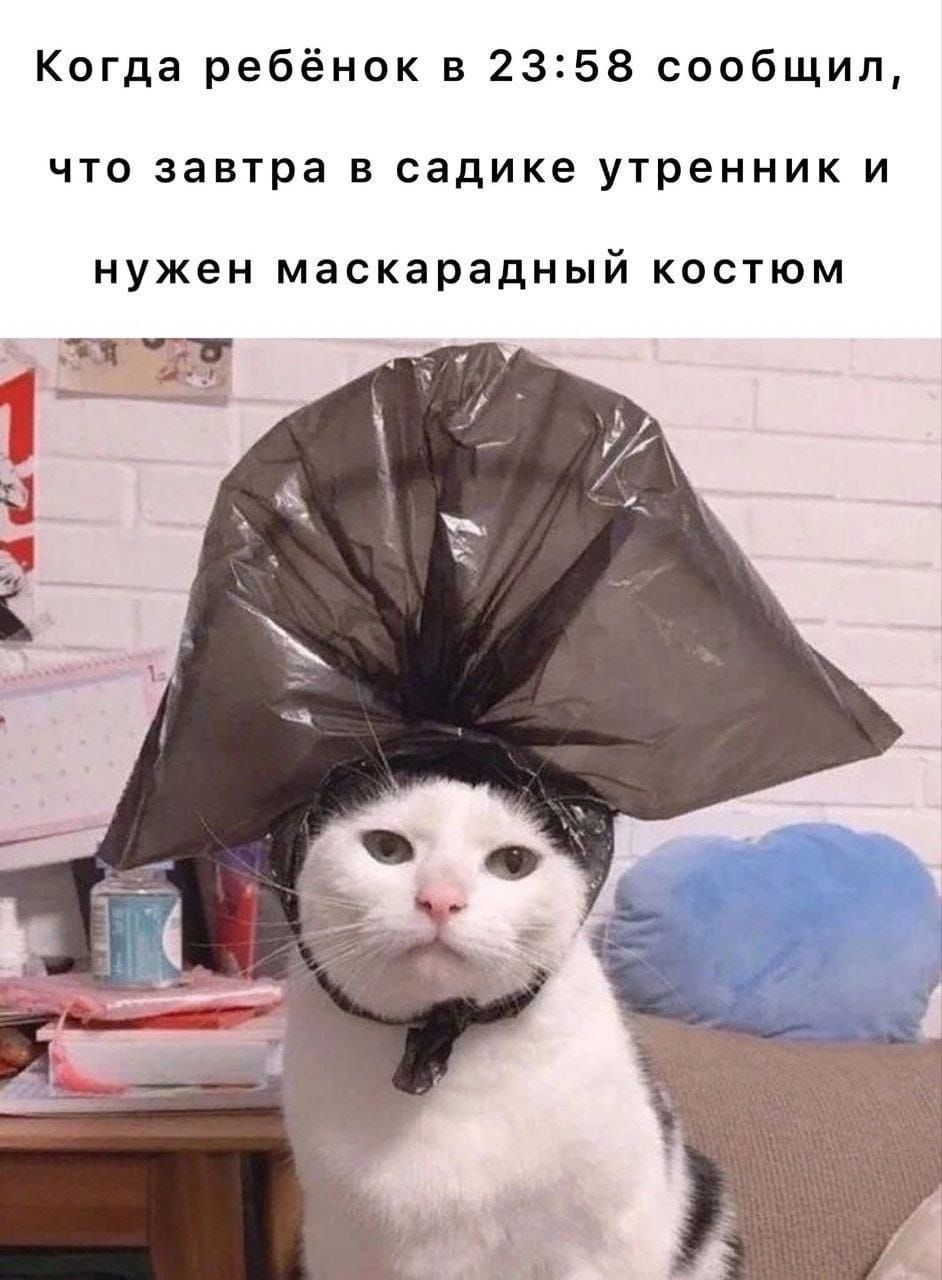 Когда ребёнок в 2358 сообщил что завтра в садике утренник и нужен маскарадный костюм