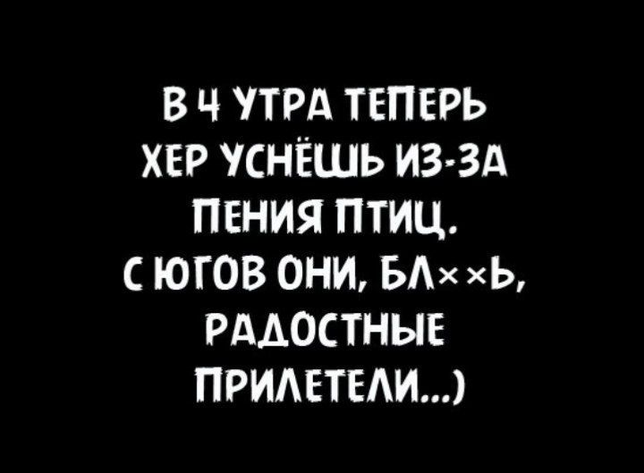 В Ч УТРА ТЕПЕРЬ ХЕР СНЁШЬ ИЗ Зд ПЕНИЯ ПТИЦ С ЮГОВ ОНИ БАх Ь РАДОСТНЫЕ ПРИАЕТЕАИ