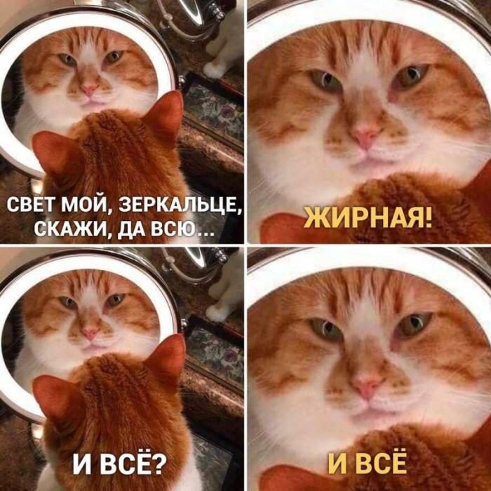 СВЕТ МОИ ЗЕР дд __ кии мя