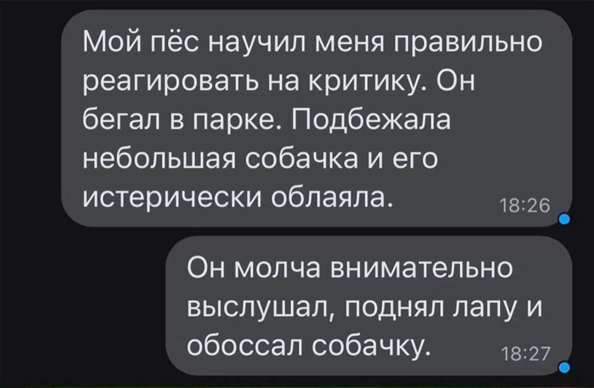 Мой пёс научил меня правильно реагировать на критику Он бегал в парке Подбежала небольшая собачка и его истерически облаяла 25 _ Он молча внимательно выслушал поднял лапу и обоссал собачку 7