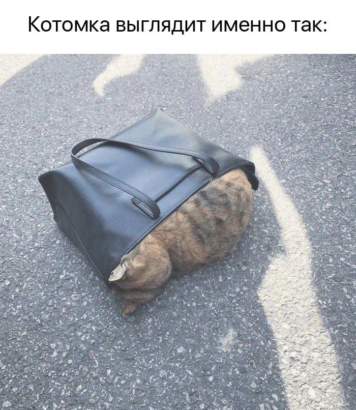 ТОМКа ВЫГПЯДИТ именно так