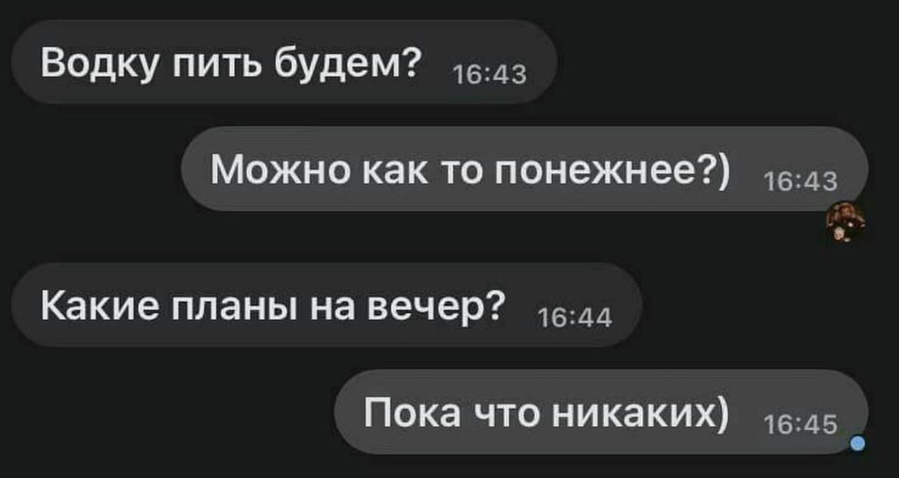 Водку пить будем МОЖНО как ТО ПОНЕЖНЕе 16Д3 Какие планы на вечер 15 Пока что никаких 5