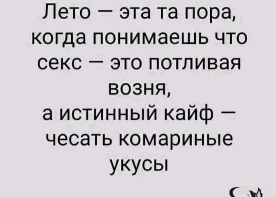 Лето эта та пора когда понимаешь что секс это потливая возня а истинный кайф чесать комариные укусы А