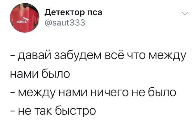 детектор пса эашЗЗЗ давай забудем всё что между нами было между нами ничего не было не так быстро