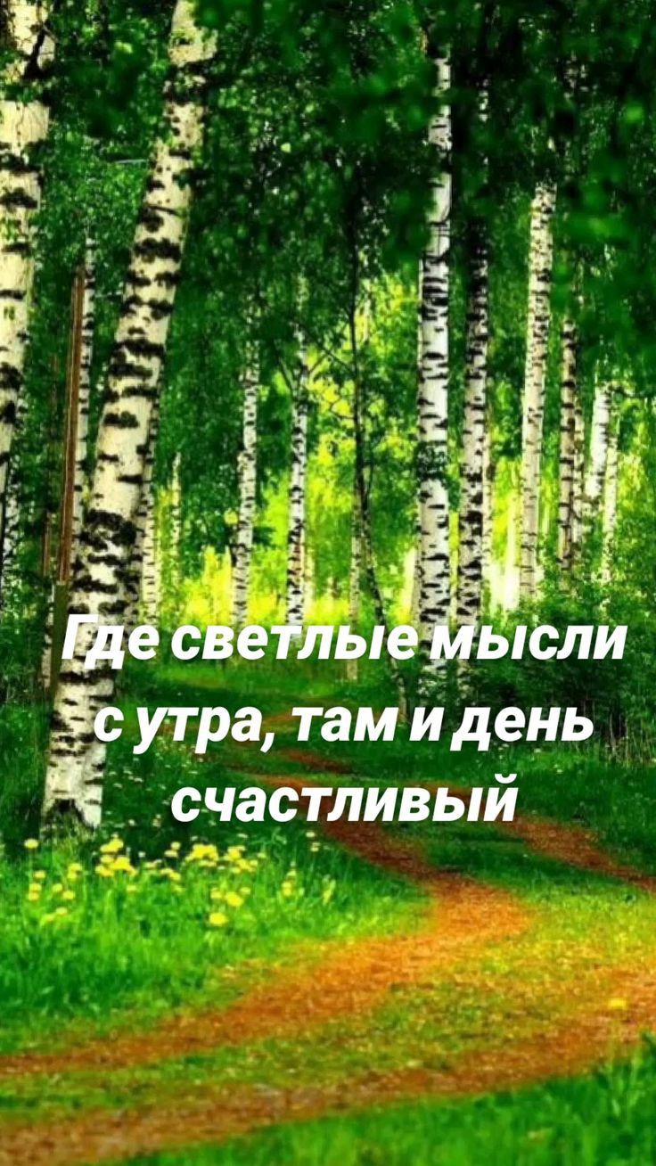 а тамйдень _ утр Счастливыи