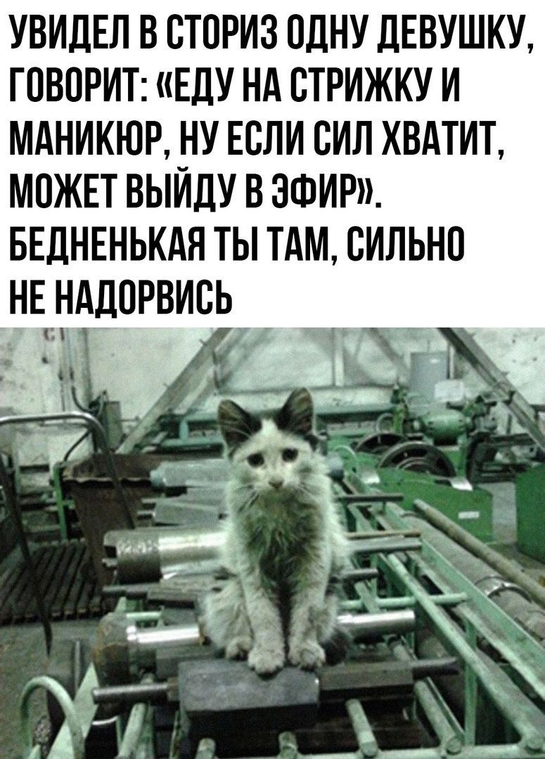 УВИДЕЛ В СТПРИЗ ВДНУ дЕВУШКУ ГПВОРИТ ЕдУ НА СТРИЖКУ И МАНИКЮР НУ ЕСЛИ СИЛ ХВАТИТ МОЖЕТ ВЫИДУ В ЭФИР БЕДНЕНЬКАН ТЫ ТАМ СИЛЬНО НЕ НАДПРВИСЬ