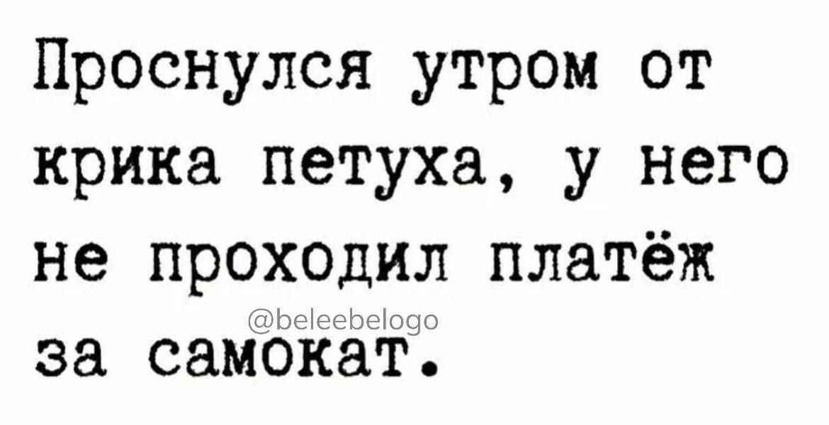 Проснулся утром от крика петуха у него не проходил платёж за самойёті