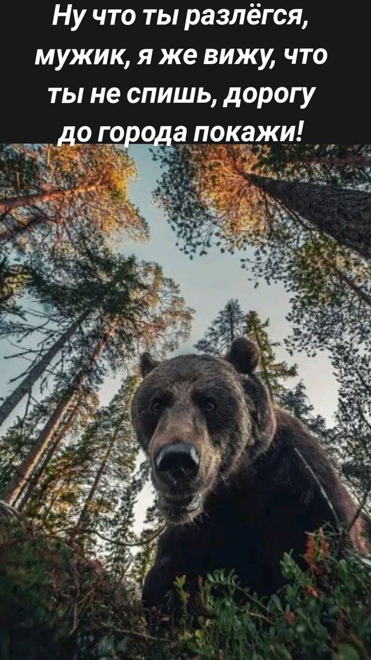 Ну что ты разлёгся мужик я же вижу что ты не спишь дорогу др го о а покажи