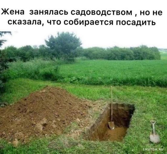 Жена занялась садоводством НО не сказала ЧТО собирается ПОСЗДИТЬ Е