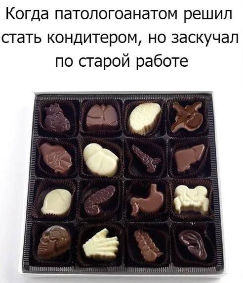 Когда патологоанатом решил сгать кондитером но заскучал по старой работе