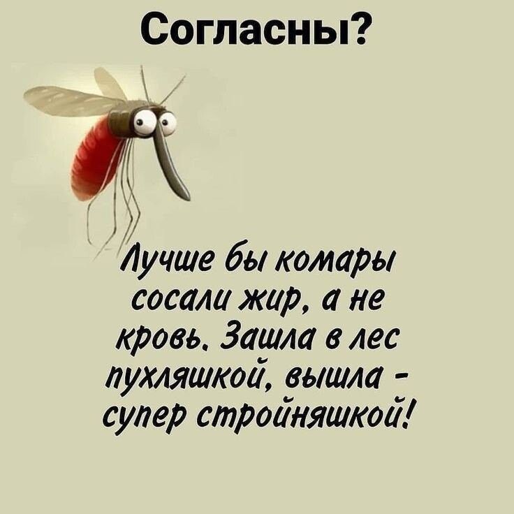 Согласны Лучше бы комары сосала жир и не кровь Заума в лес лухляшкои вышла супер строиняшкаа