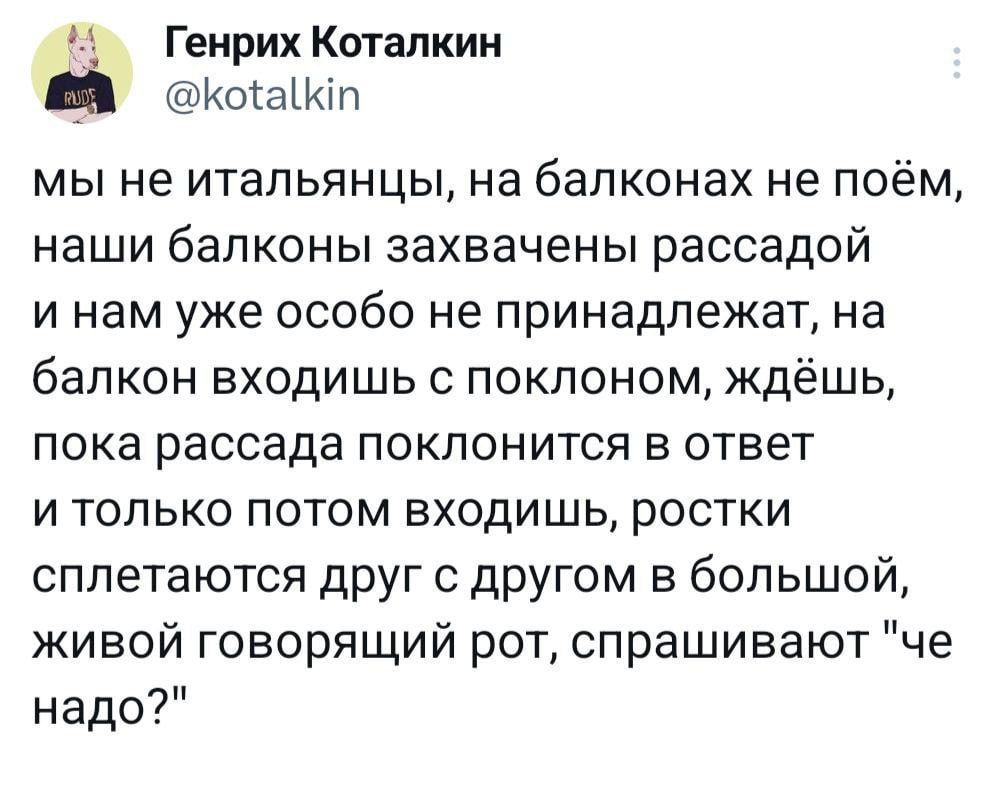 Генрих Коталкин _Ш кокаіип мы не итальянцы на балконах не поём наши балконы захвачены рассадой и нам уже особо не принадлежат на балкон входишь с поклоном ждёшь пока рассада поклонится в ответ и только потом входишь ростки сплетаются друг с другом в большой живой говорящий рот спрашивают че надо