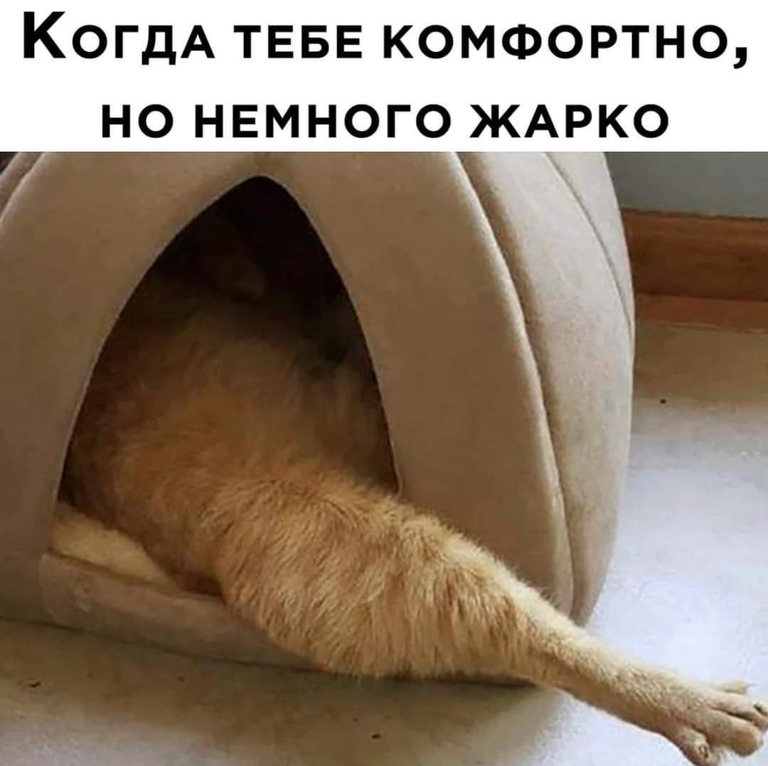 КОГДА ТЕБЕ КОМФОРТНО НО НЕМНОГО ЖАРКО