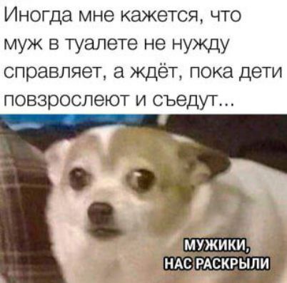 Иногда мне кажется что муж в туалете не нужду справляет а ждёт пока дети повзроспеют и съедут