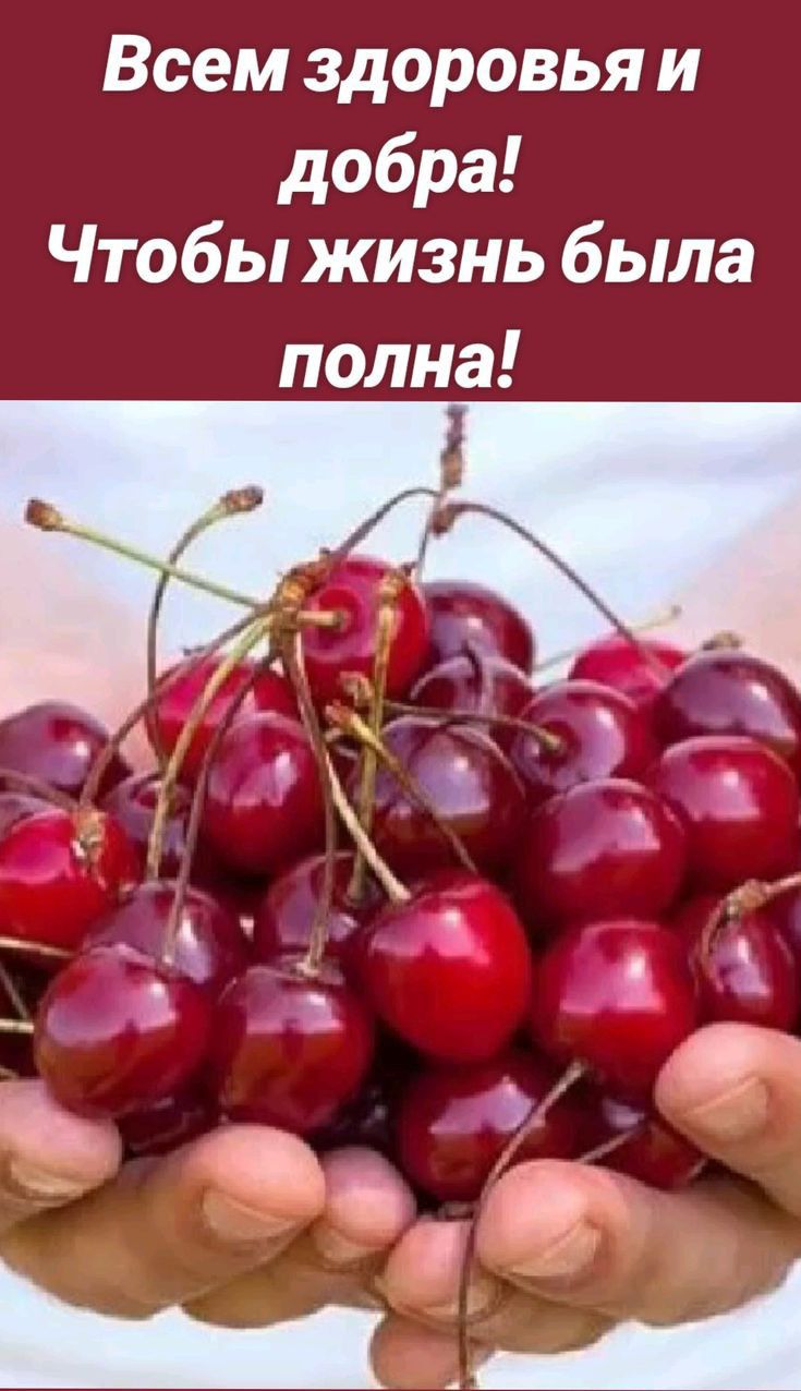 Всем здоровья и добра Чтобы жизнь была