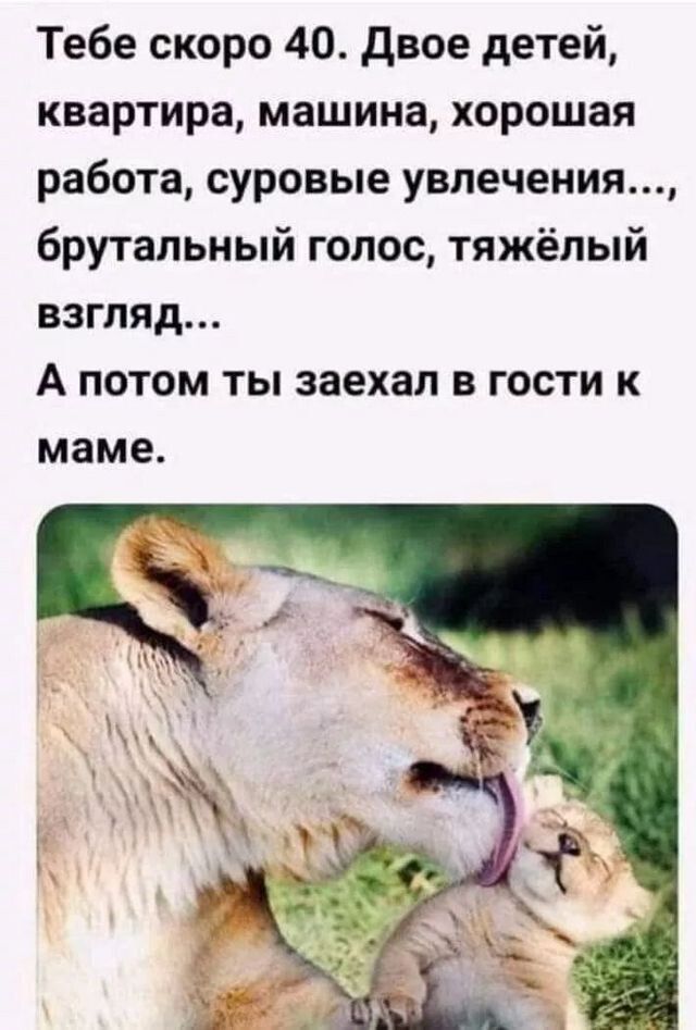Тебе скоро 40 двое детей квартира машина хорошая работа суровые увлечения брутальный голос тяжёлый взгляд А потом ты заехал в гости к маме