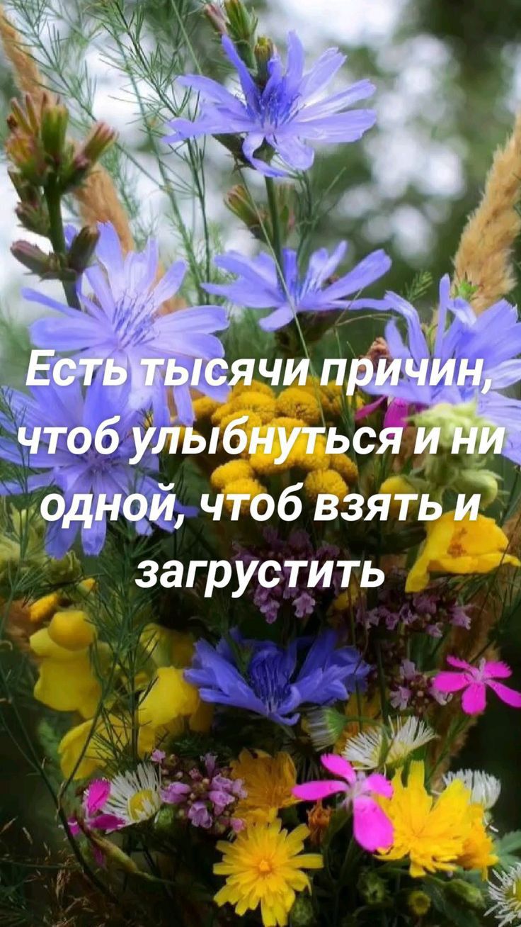 загруртить Ы д к д т Ё