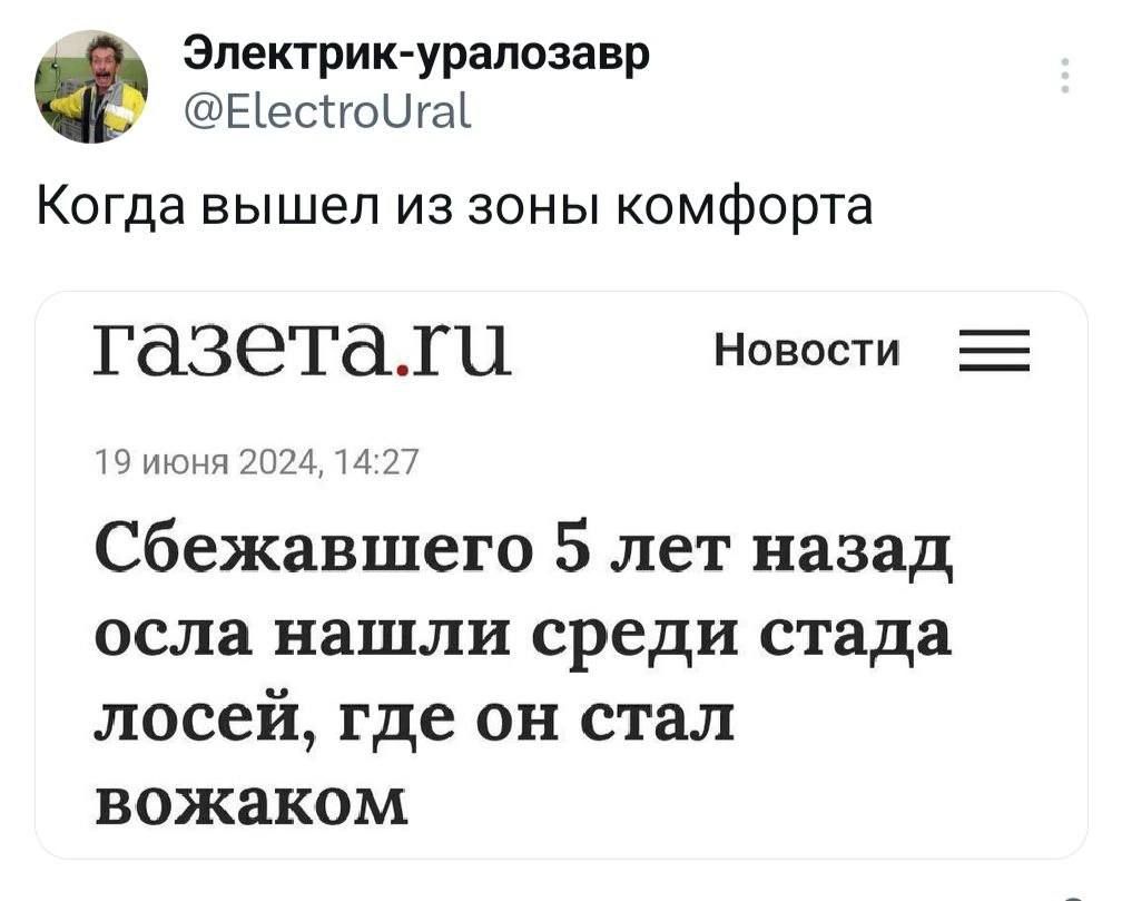 Эпектрикурапозавр Еіесіюигаі Когда вышел из зоны комфорта ГдЗёТдШЦ Новости и шсчч гм 2 сбежавшего 5 лет назад осла нашли среди стада лосей где он стал вожаком