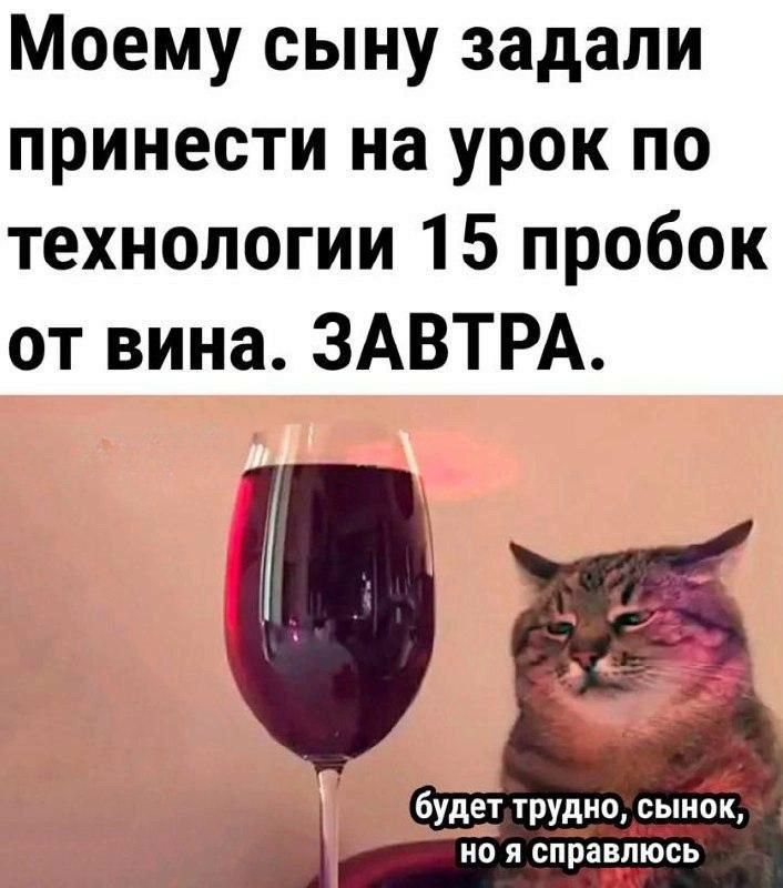 Моему сыну задали принести на урок по технологии 15 пробок от вина ЗАВТРА будет трудно сынок на я справлюсь