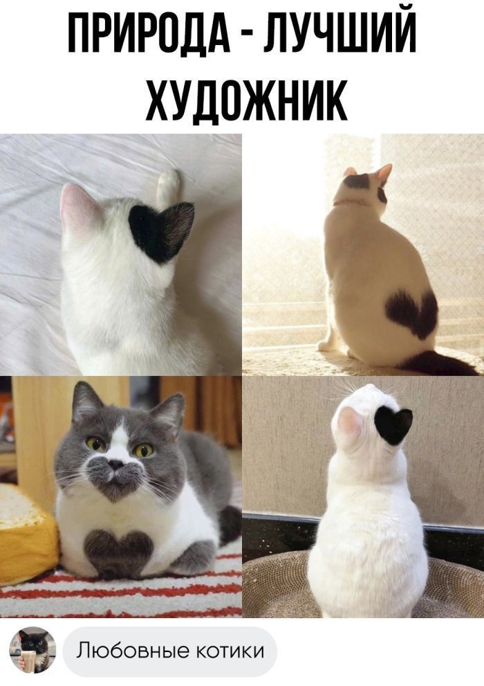 ПРИРОДА ЛУЧШИЙ ХУДОЖНИК