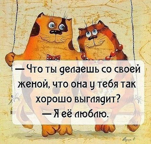 даш чит Что ты еааешь со своей женой что она у тебя так хорошо выгая9ит Я её аюбаю