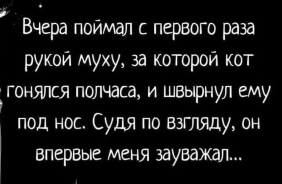 Вчера поймал с первого раза рукой муху за которой кот Ьгонялся полчаса и швырнул ему под нос Судя по ввгляду он впервые меня зауважал