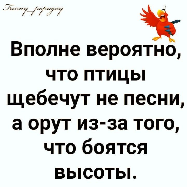 7777 і Вполне вероятно что птицы щебечут не песни а орут из за того что боятся высоты