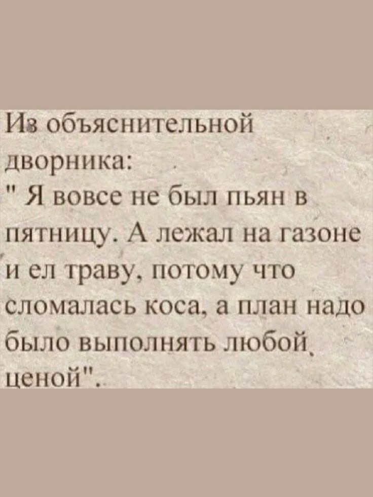 Ив объяснительной дворника Я вовсе не был пьян в пятницу А лежал на газоне и сл траву потому что сломалась коса 11 план надо было выполнять нобоід Ценой