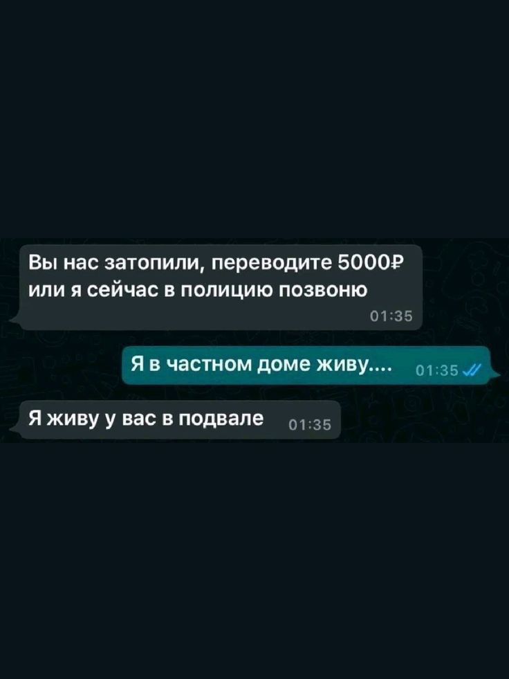 Вы ндс затопили переводите 50009 или я сейчас наличию пашню 0135 Яживу у вас в подвале