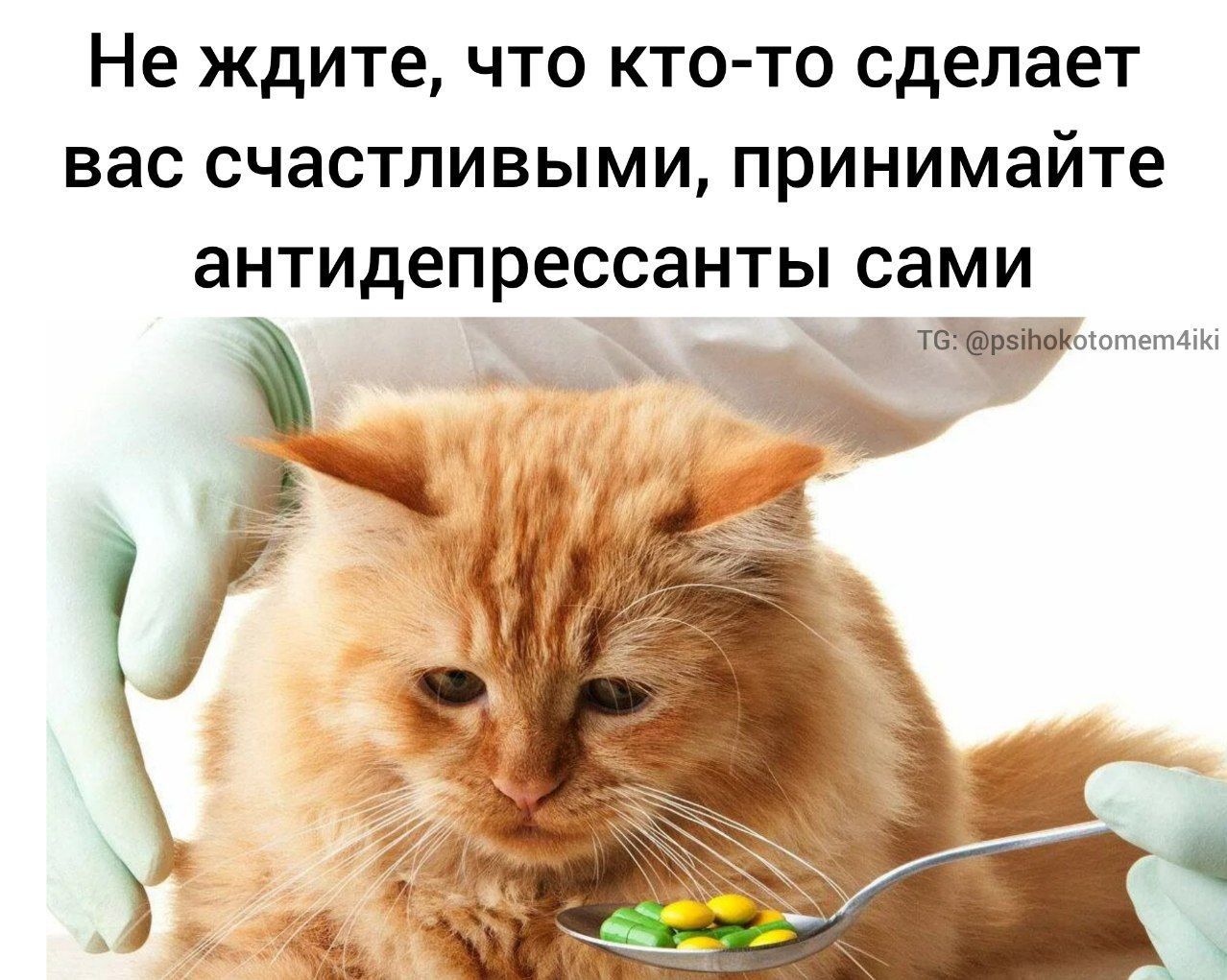 Не ждите что кто то сделает вас счастливыми принимайте анТИдепрессгднты сами Щьтвш4ш