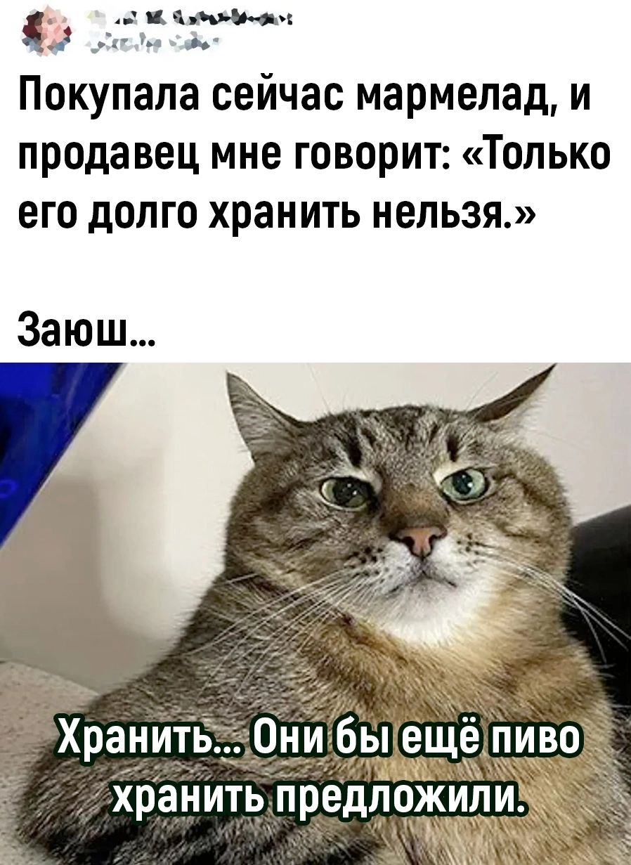 цінВип _ __ Покупала сейчас мармелад и продавец мне говорит Только его долго хранить нельзя Заюш